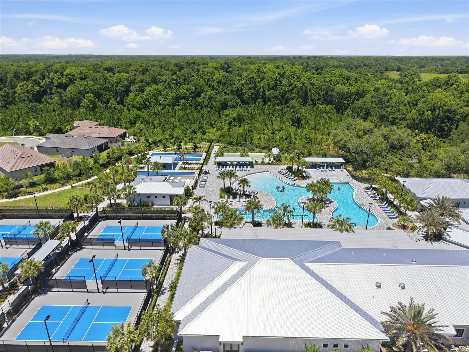 17135 Shell Bay Drive Land O Lakes FL 34638 TB8509761 image57