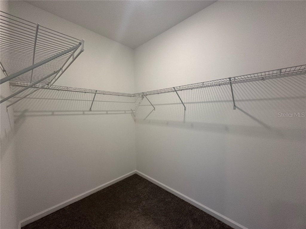 17136 Salty Dog Road Winter Garden FL 34787 O6357539 image11