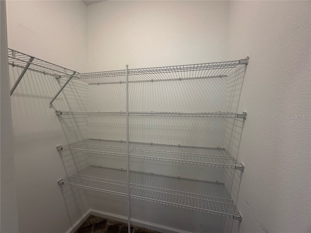 17136 Salty Dog Road Winter Garden FL 34787 O6357539 image25