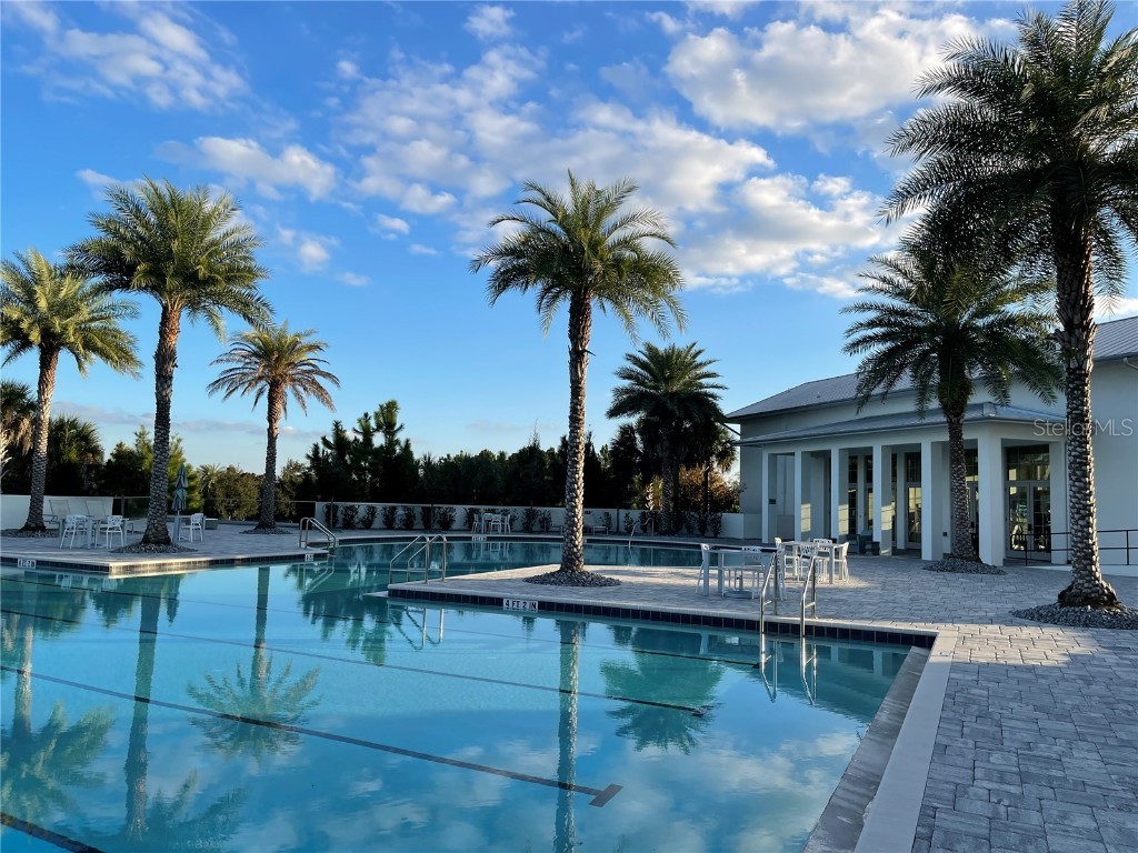 17136 Salty Dog Road Winter Garden FL 34787 O6357539 image34