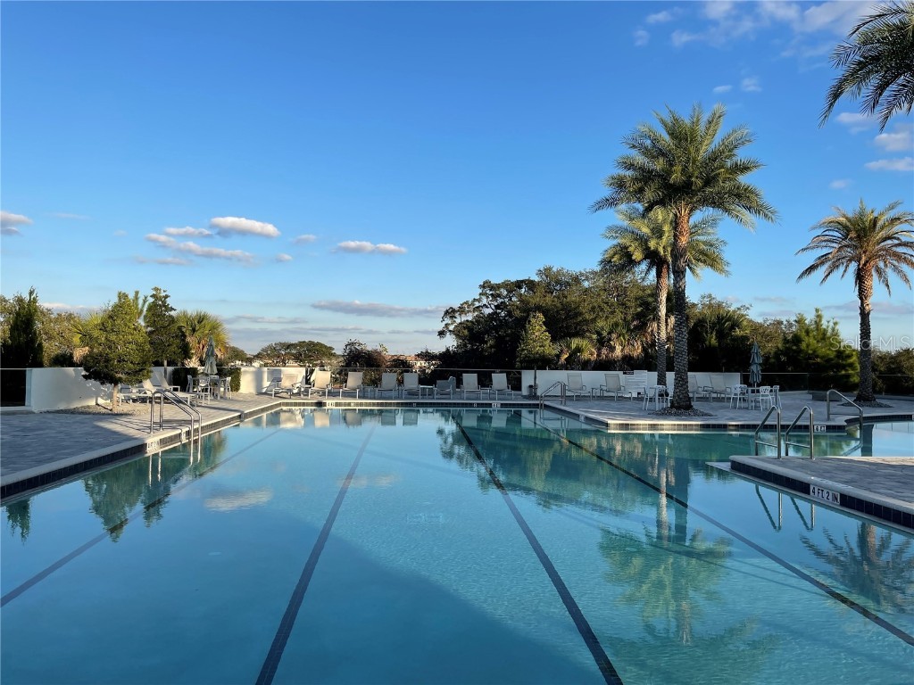 17136 Salty Dog Road Winter Garden FL 34787 O6357539 image35