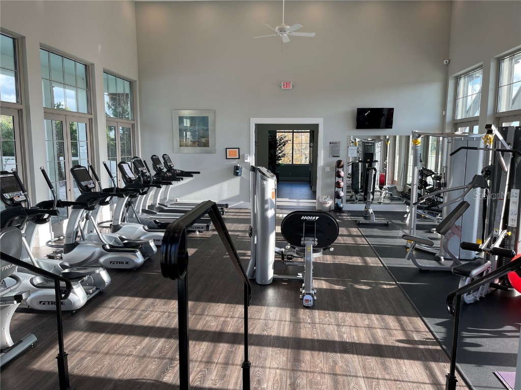 17136 Salty Dog Road Winter Garden FL 34787 O6357539 image37