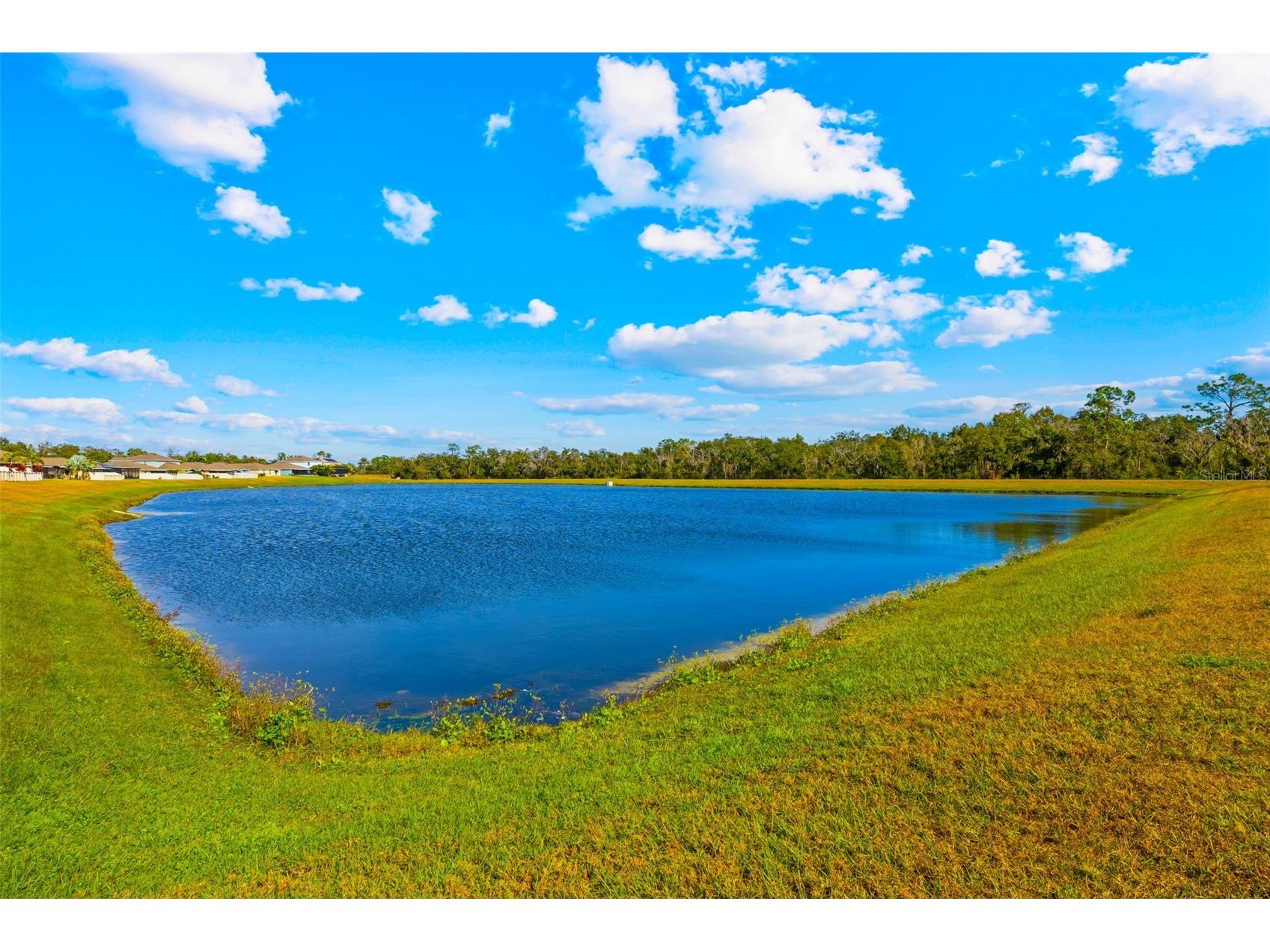 17136 White Mangrove Drive Wimauma FL 33598 TB8455949 image10