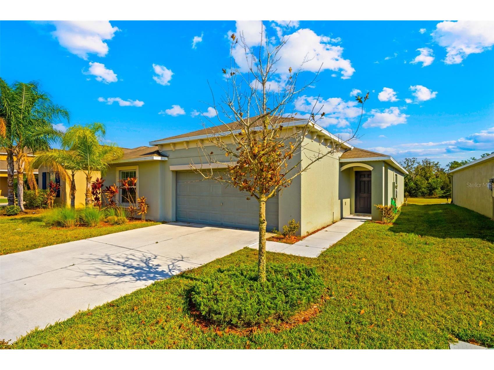 17136 White Mangrove Drive Wimauma FL 33598 TB8455949 image4