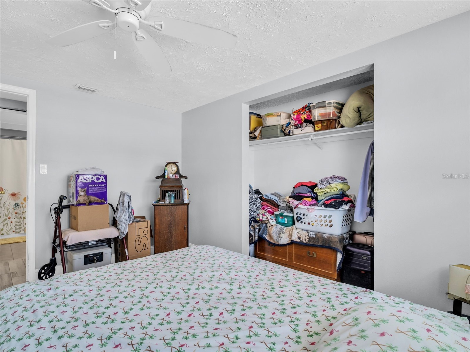 1714 Coppertree Drive Tarpon Springs FL 34689 TB8502670 image15