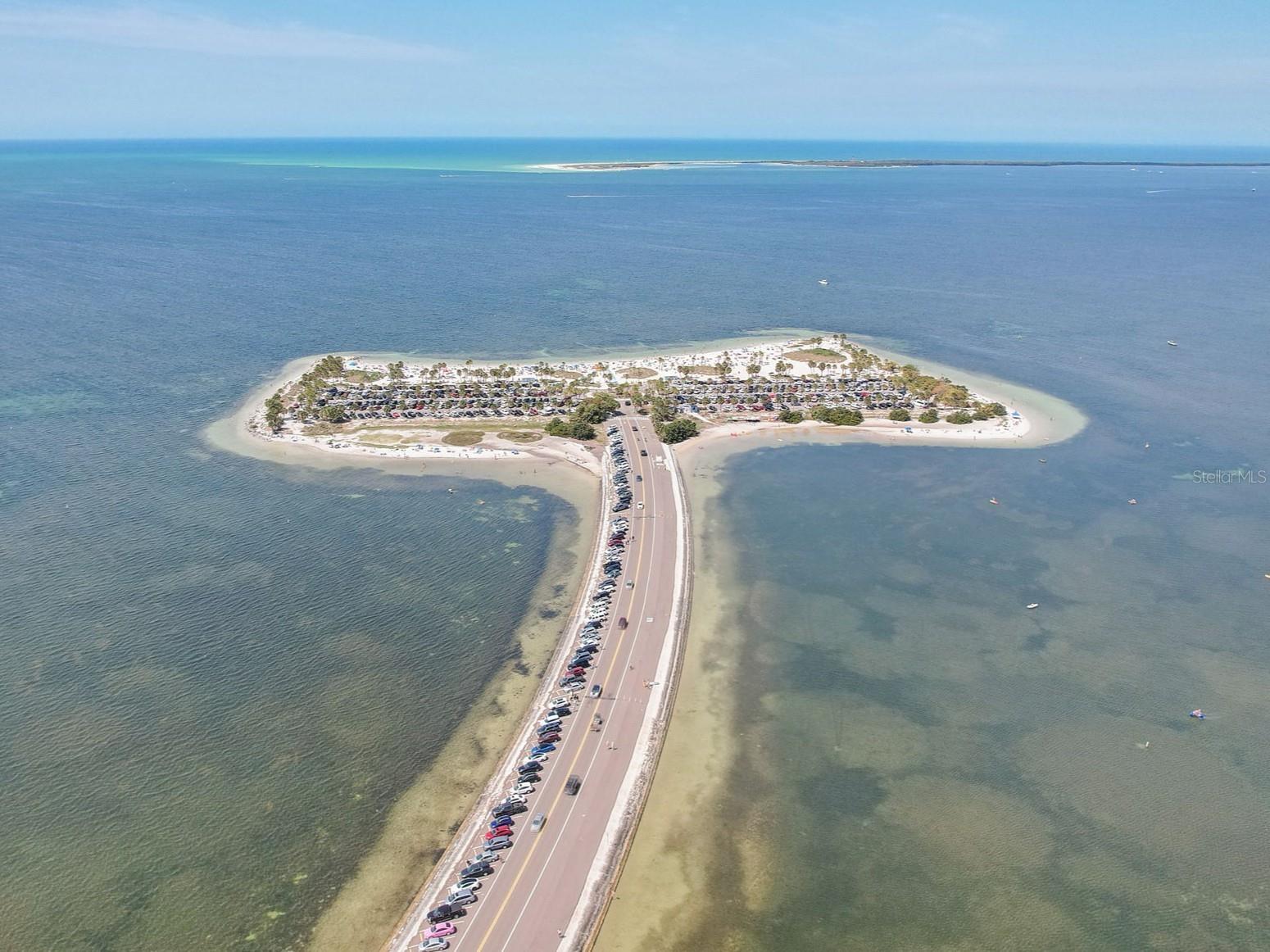 1714 Coppertree Drive Tarpon Springs FL 34689 TB8502670 image39