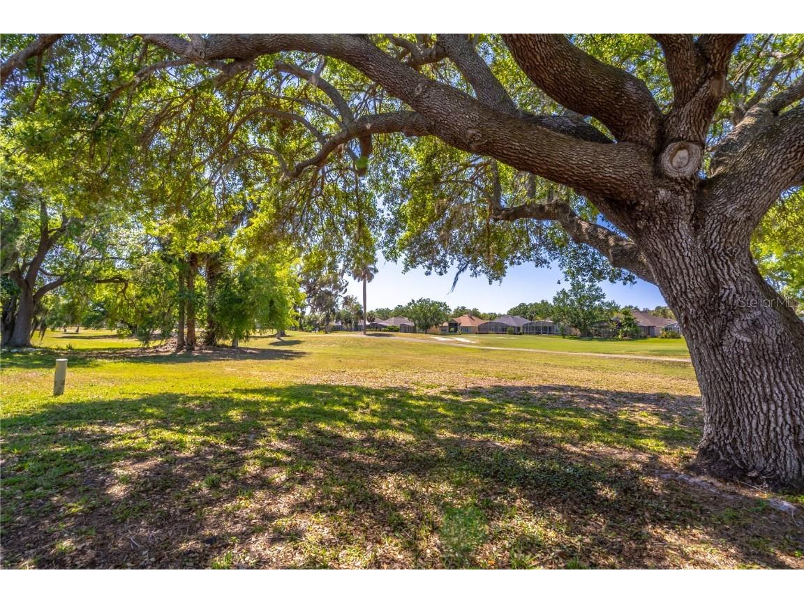 1714 Golfview Drive Kissimmee FL 34746 O6284822 image35