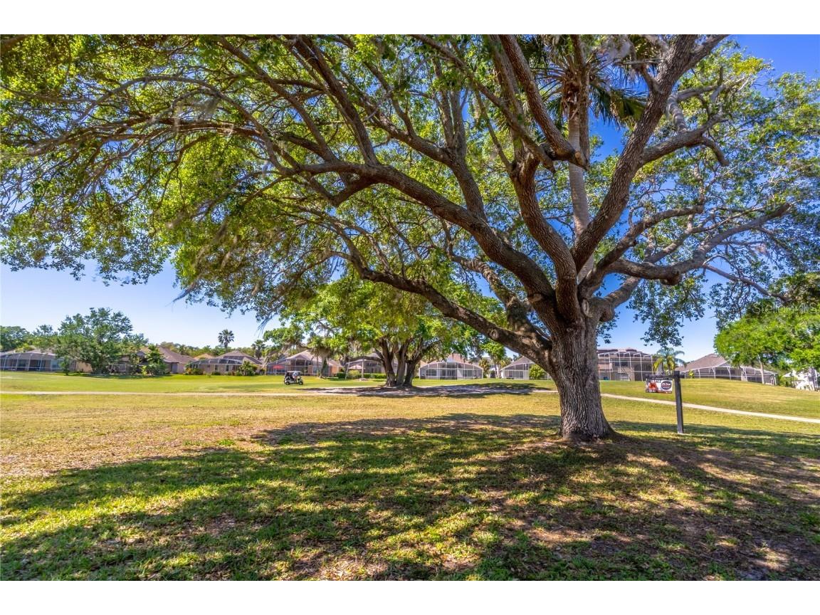 1714 Golfview Drive Kissimmee FL 34746 O6284822 image37