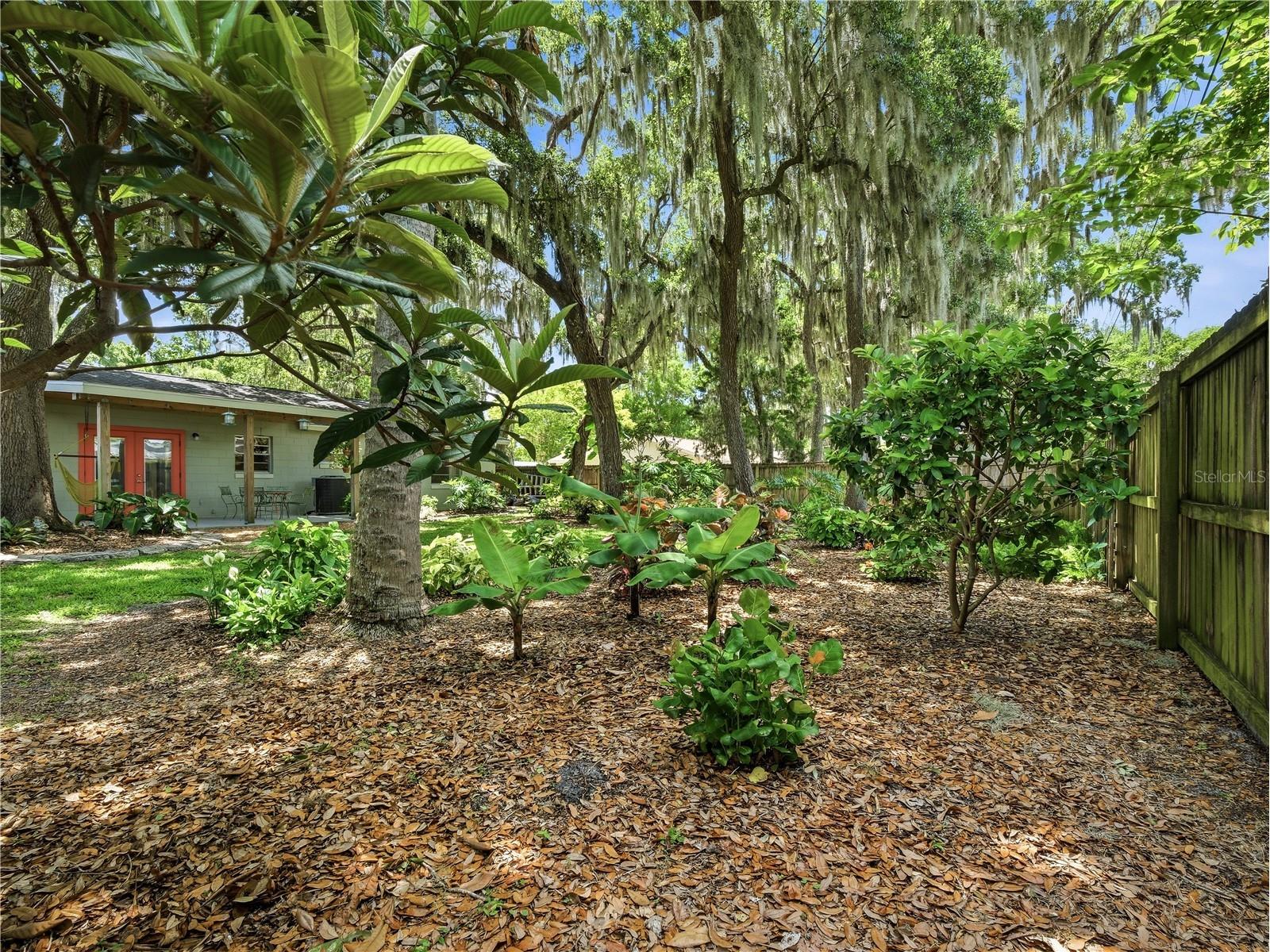 1714 Lime Tree Drive Edgewater FL 32132 NS1088429 image32