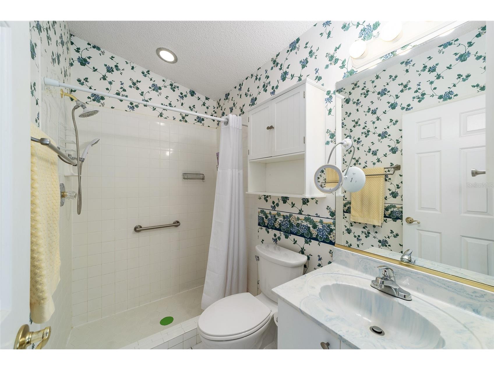 1714 Morelos Road The Villages FL 32159 OM719436 image15