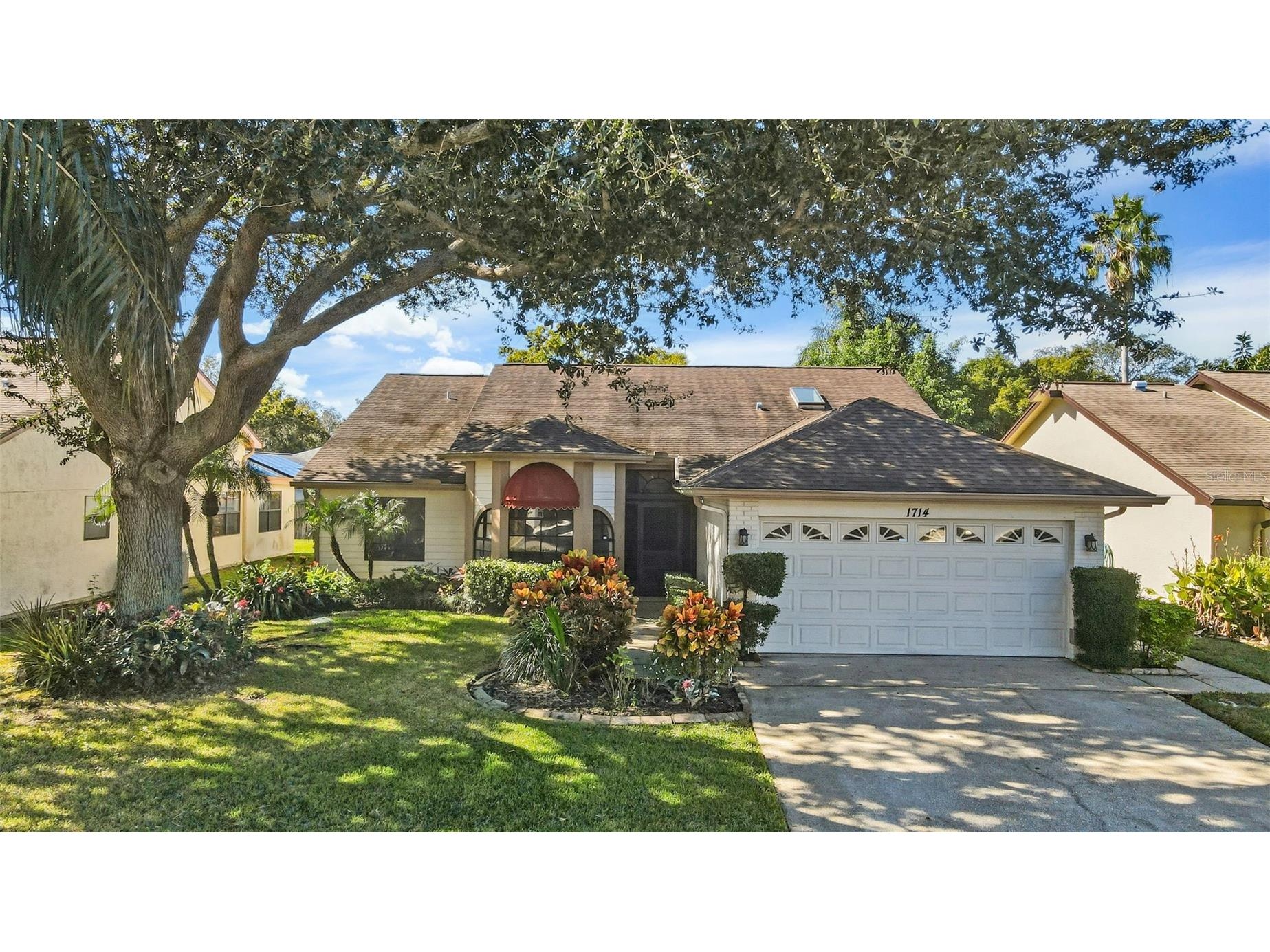 1714 Palomino Drive Tarpon Springs FL 34689 TB8446837 image1