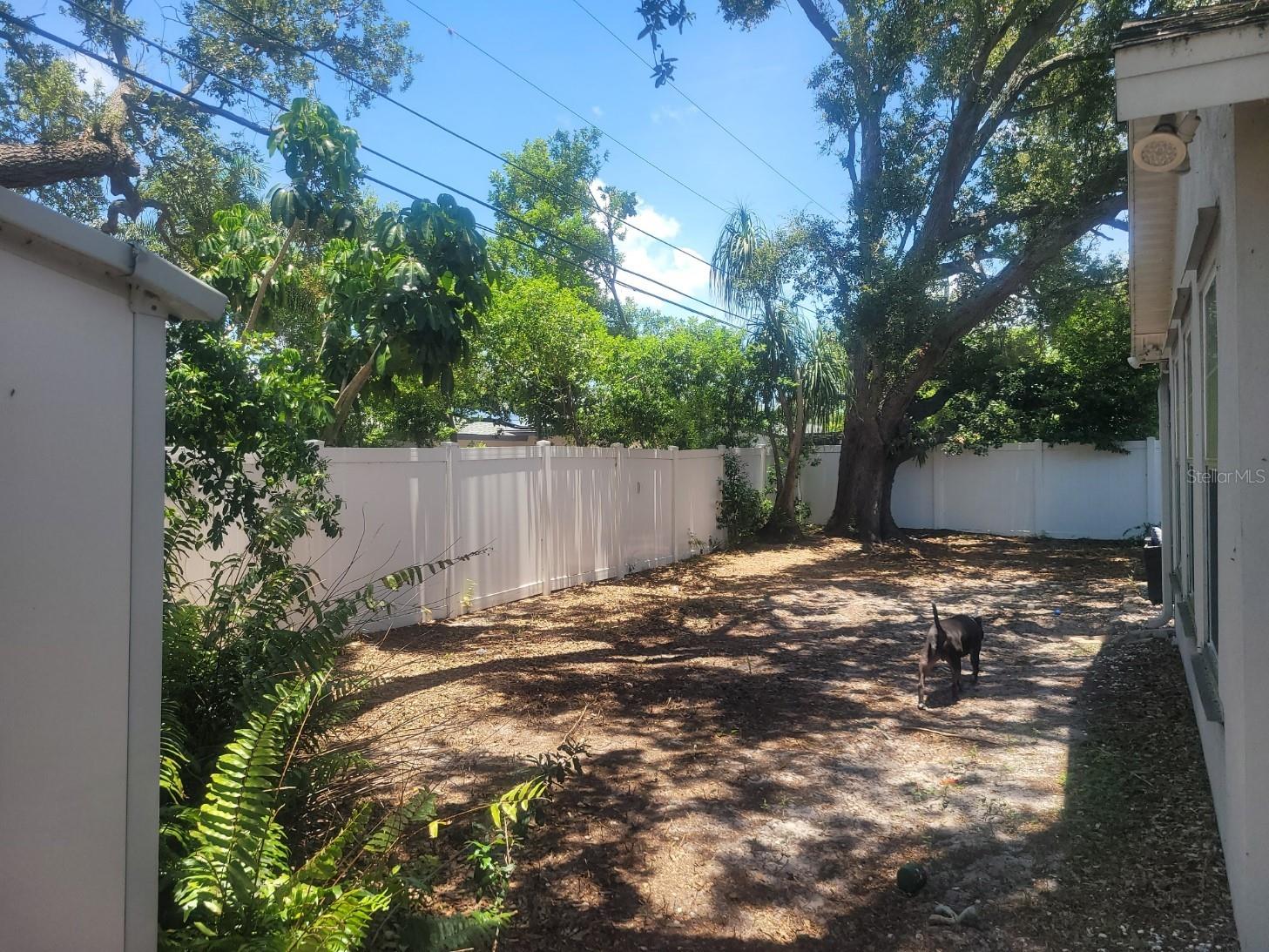 1714 Prince Philip Street Clearwater FL 33755 TB8517151 image35