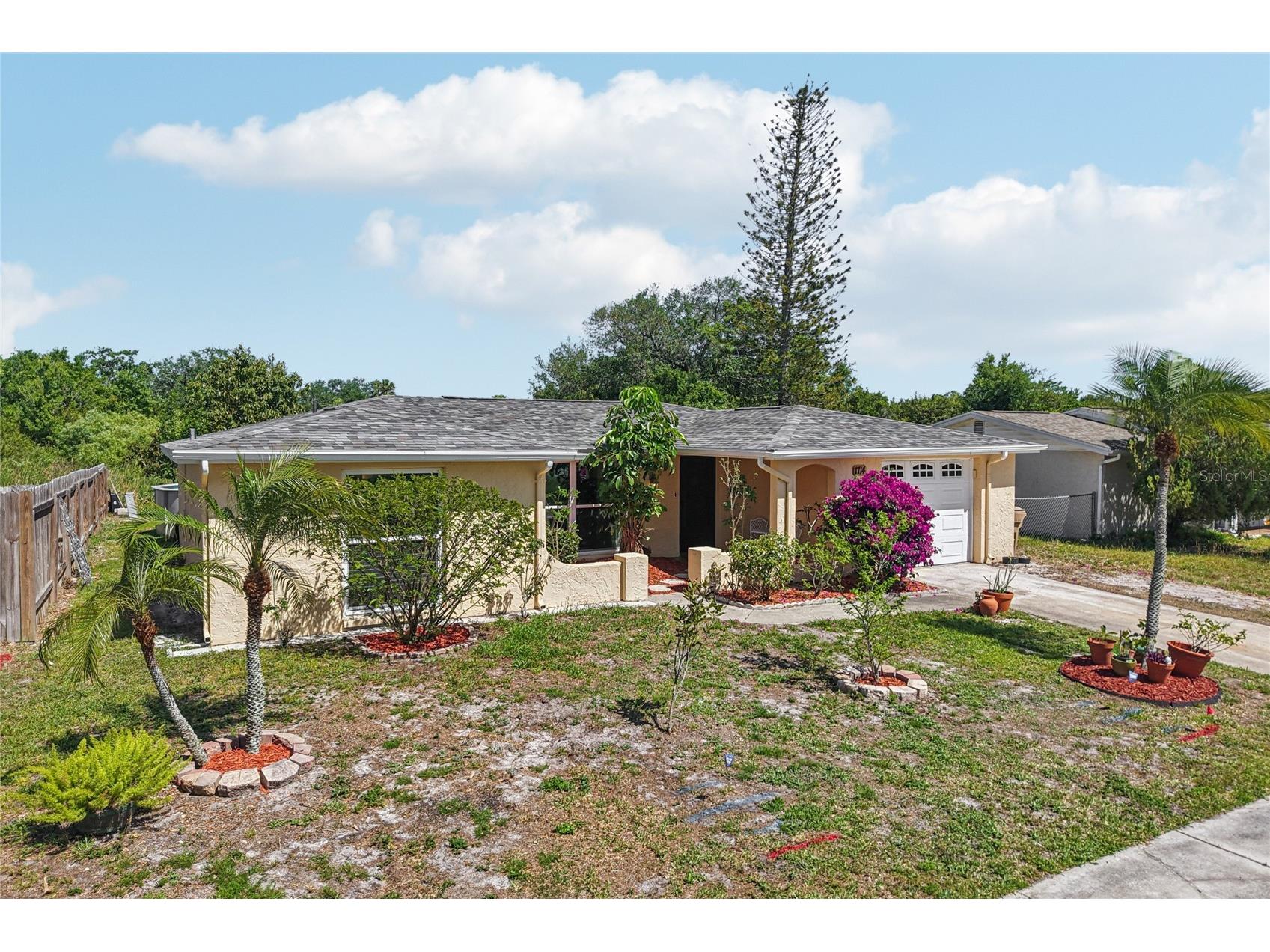 1714 Springdale Drive Holiday FL 34691 TB8495646 image2