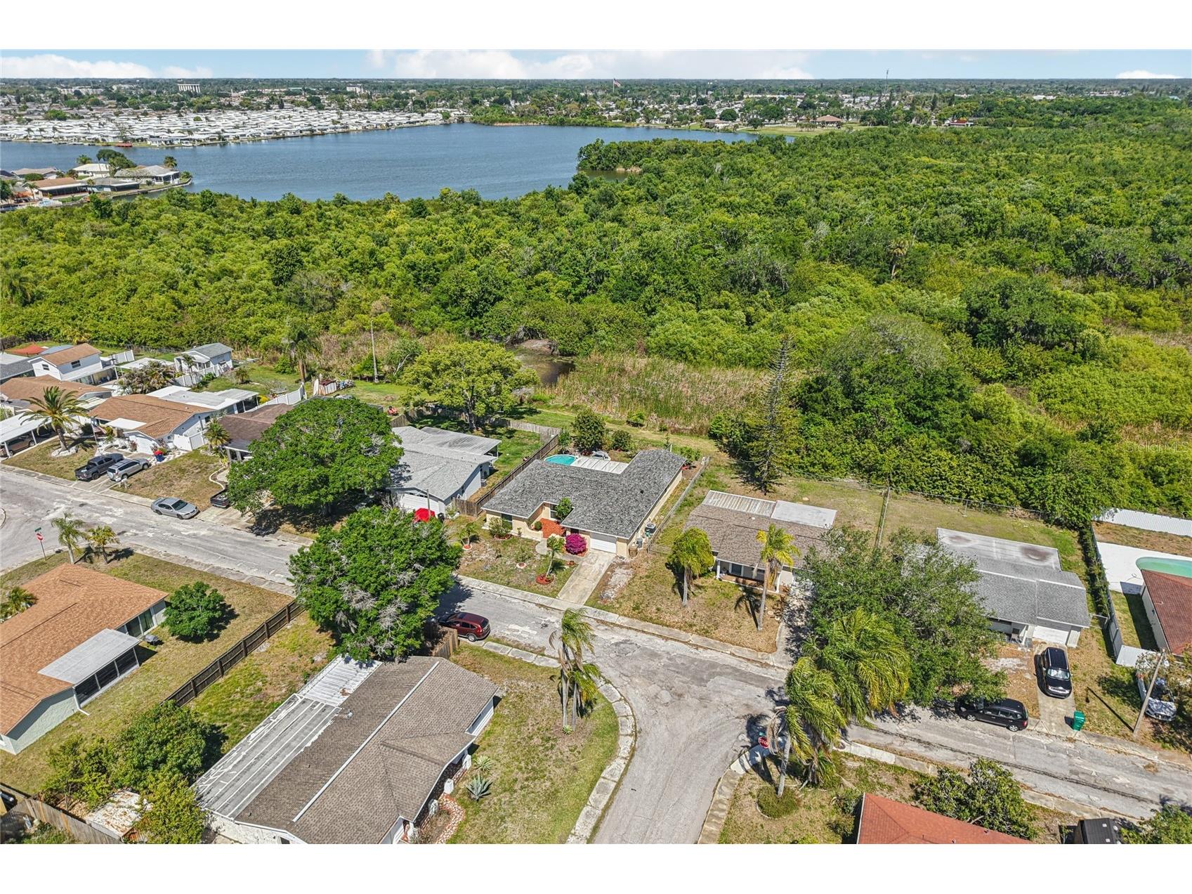 1714 Springdale Drive Holiday FL 34691 TB8495646 image41