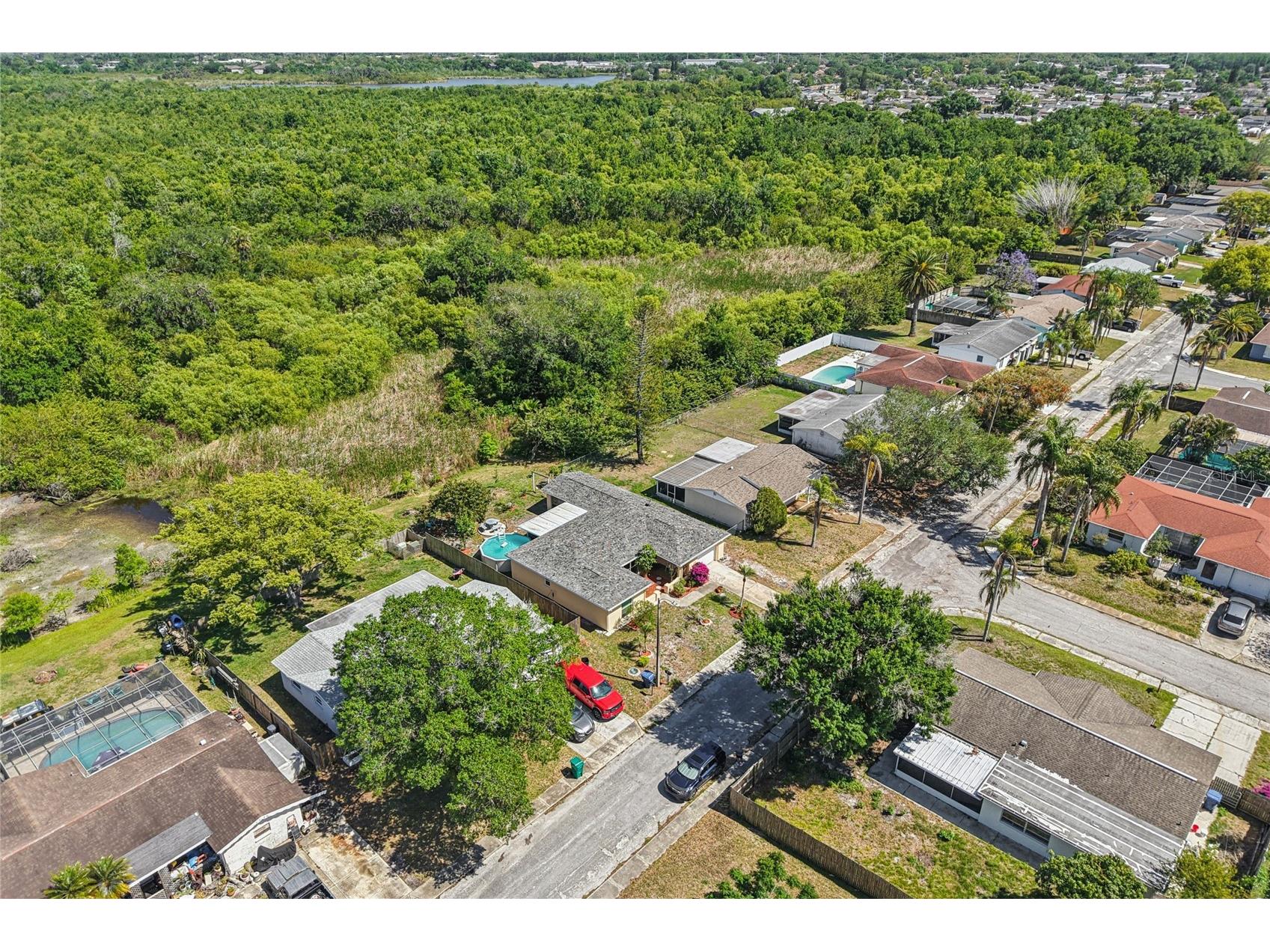 1714 Springdale Drive Holiday FL 34691 TB8495646 image43