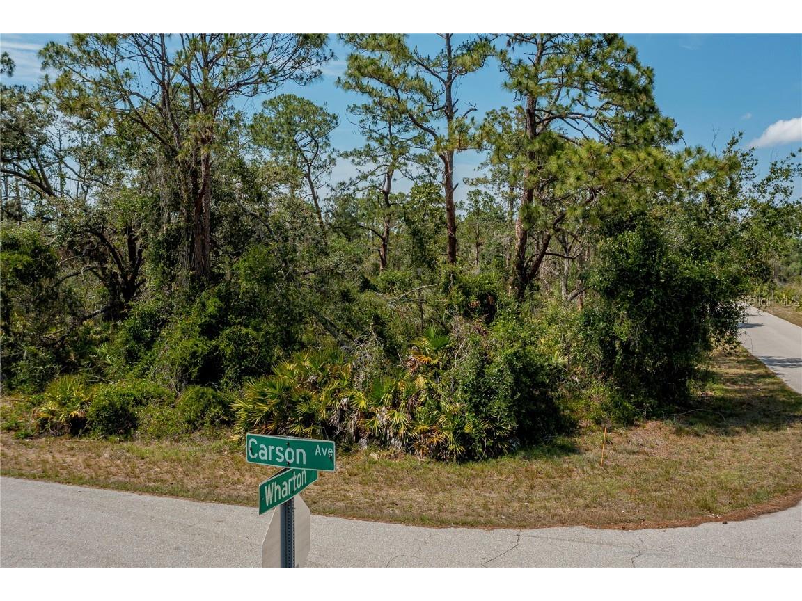 17140 Carson Avenue Port Charlotte FL 33948 C7475126 image1