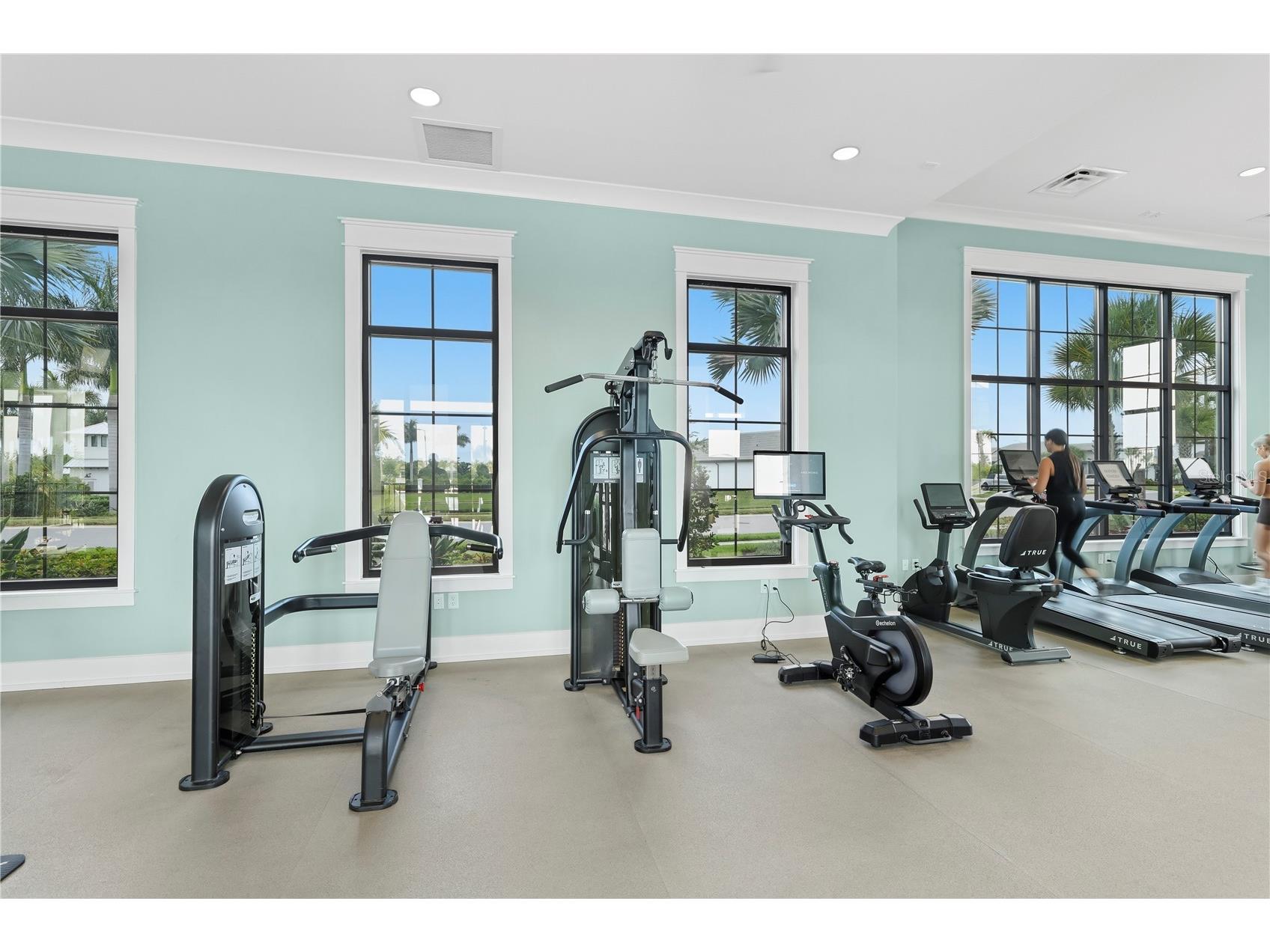 17143 Savory Mist Circle Lakewood Ranch FL 34211 A4693584 image51