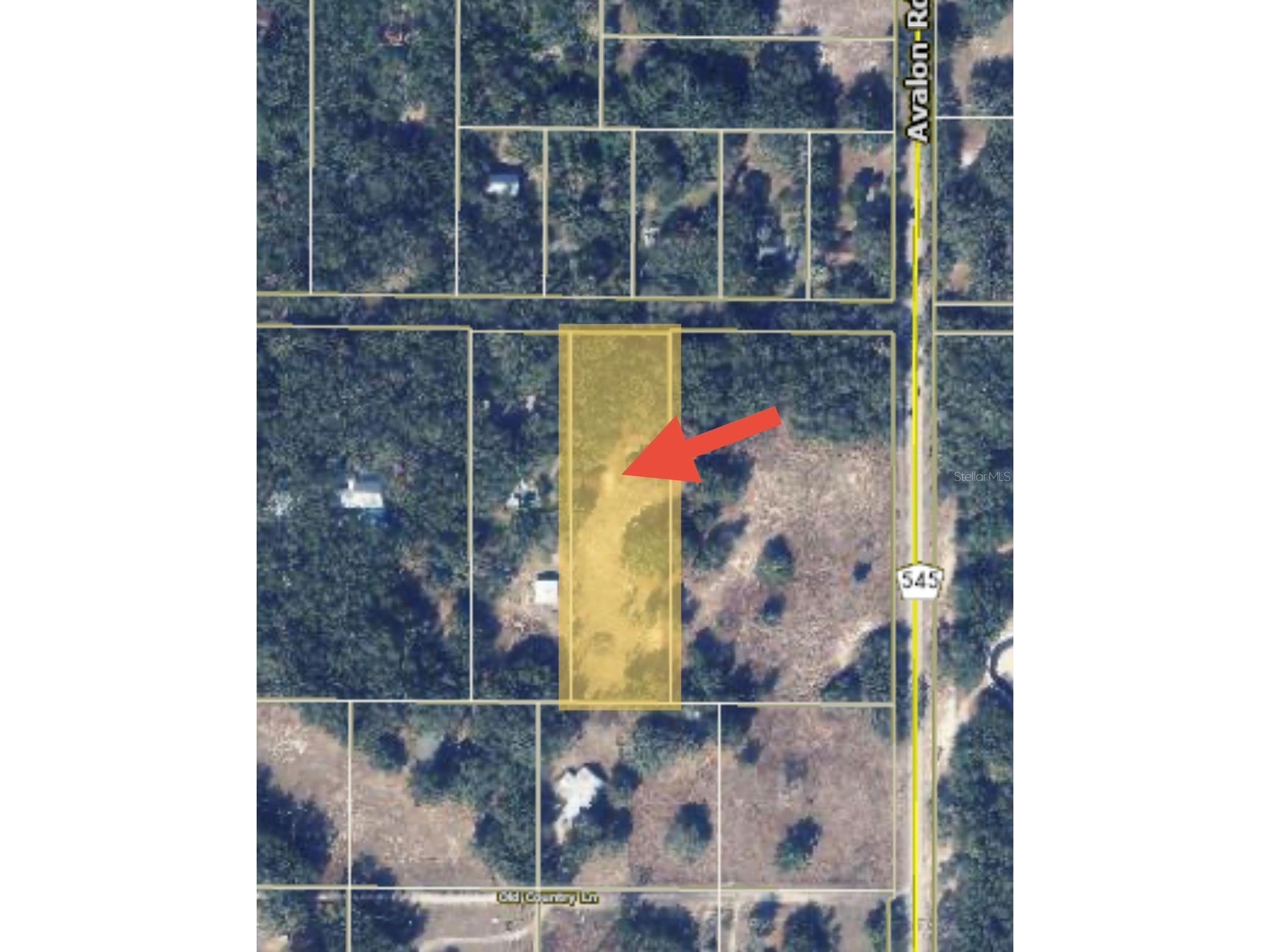 17144 Phil C Peters Road Winter Garden FL 34787 O6260547 image2