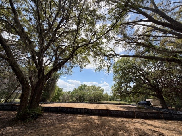 17144 Phil C Peters Road Winter Garden FL 34787 O6260547 image3