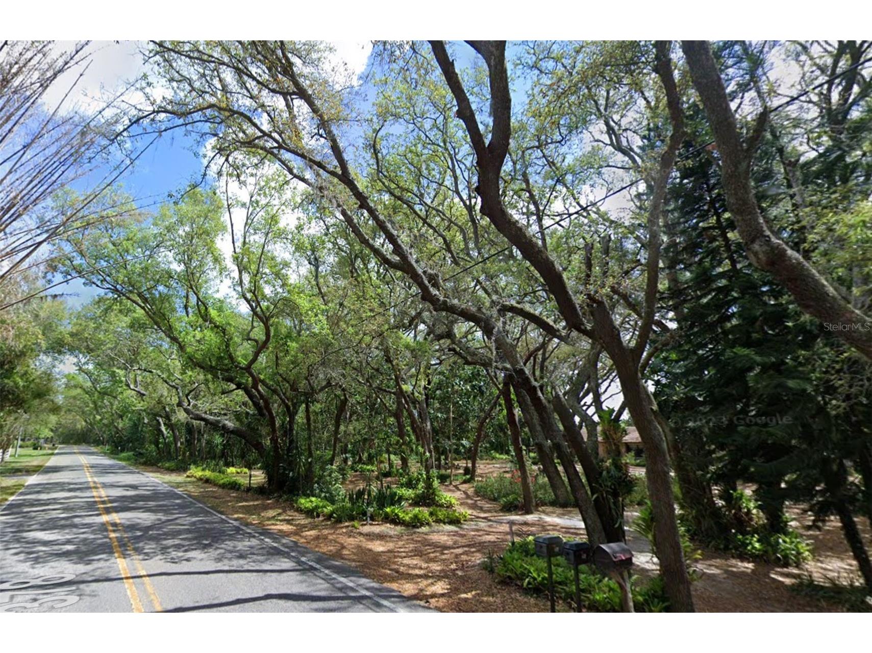 17144 Phil C Peters Road Winter Garden FL 34787 O6260547 image9