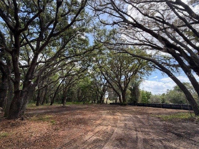 17144 Phil C Peters Road Winter Garden FL 34787 O6260561 image8