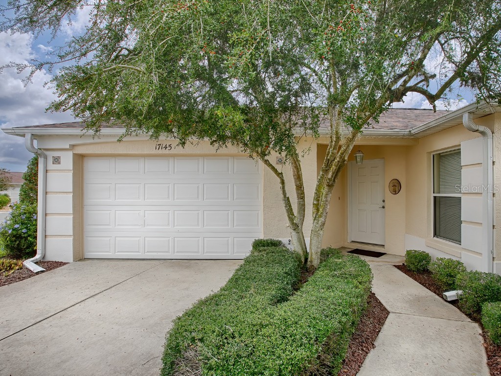17145 SE 76th Caledonia Terrace The Villages FL 32162 G5075109 image1