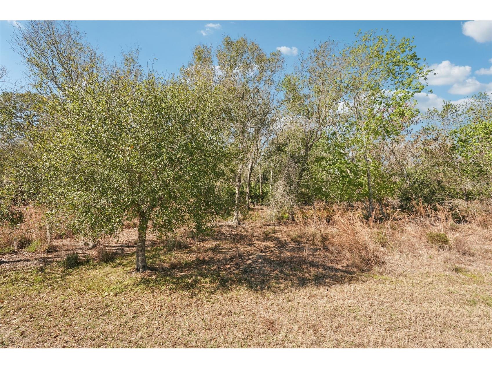 17148 Hampton Falls Terrace Bradenton FL 34202 A4669046 image40