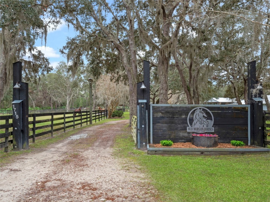 1715 Fern Park Drive Port Orange FL 32128 NS1084020 image4