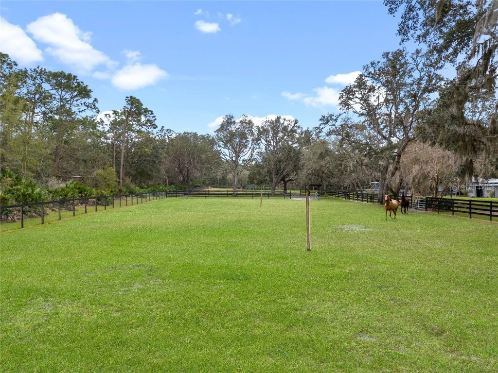 1715 Fern Park Drive Port Orange FL 32128 NS1084020 image70