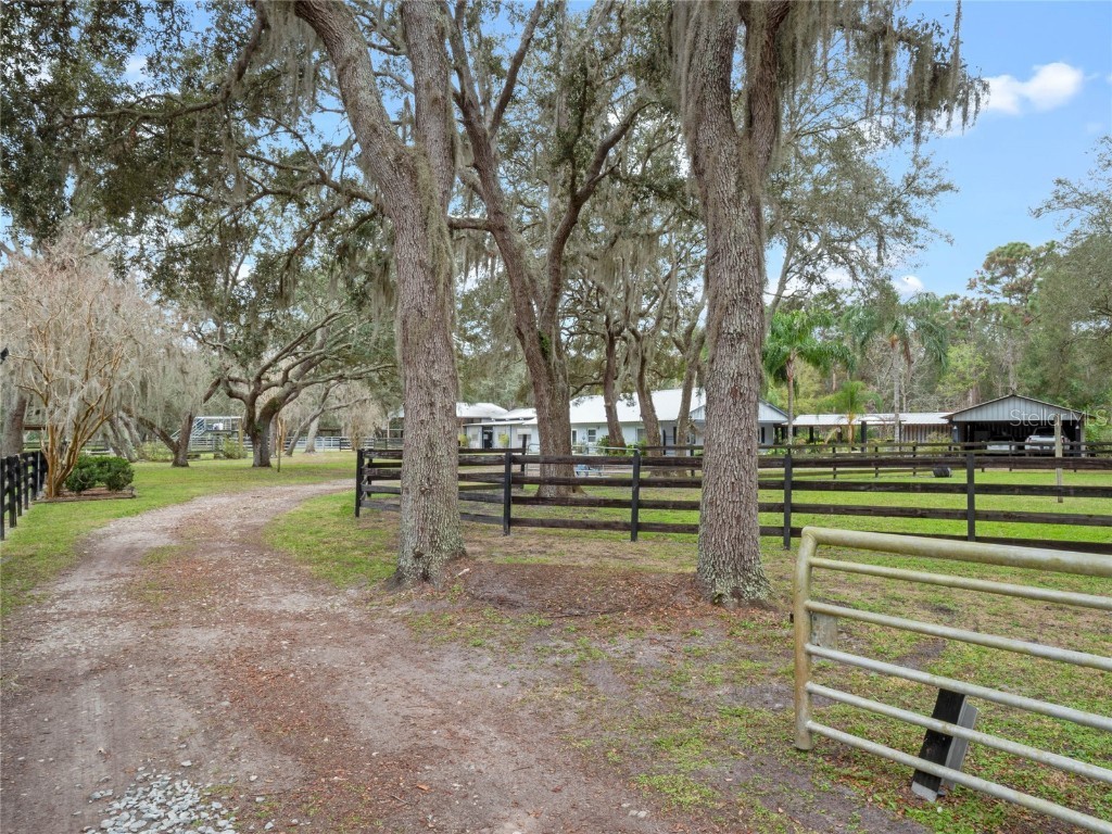 1715 Fern Park Drive Port Orange FL 32128 NS1084020 image71