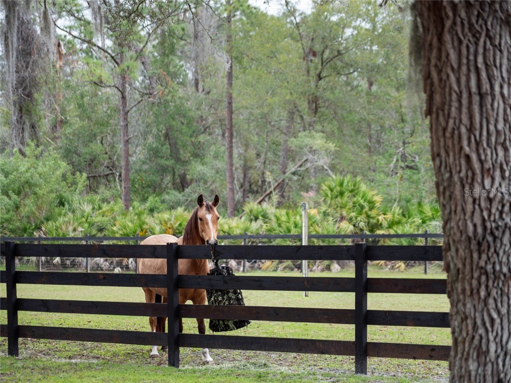 1715 Fern Park Drive Port Orange FL 32128 NS1084020 image72