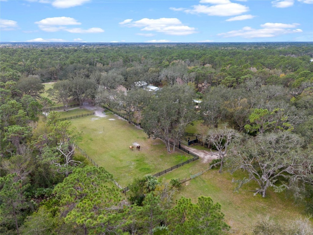 1715 Fern Park Drive Port Orange FL 32128 NS1084020 image75