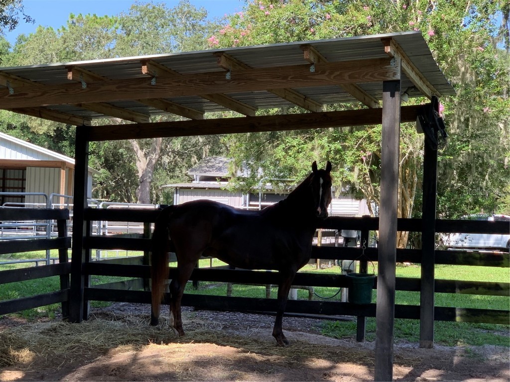 1715 Fern Park Drive Port Orange FL 32128 NS1084020 image78