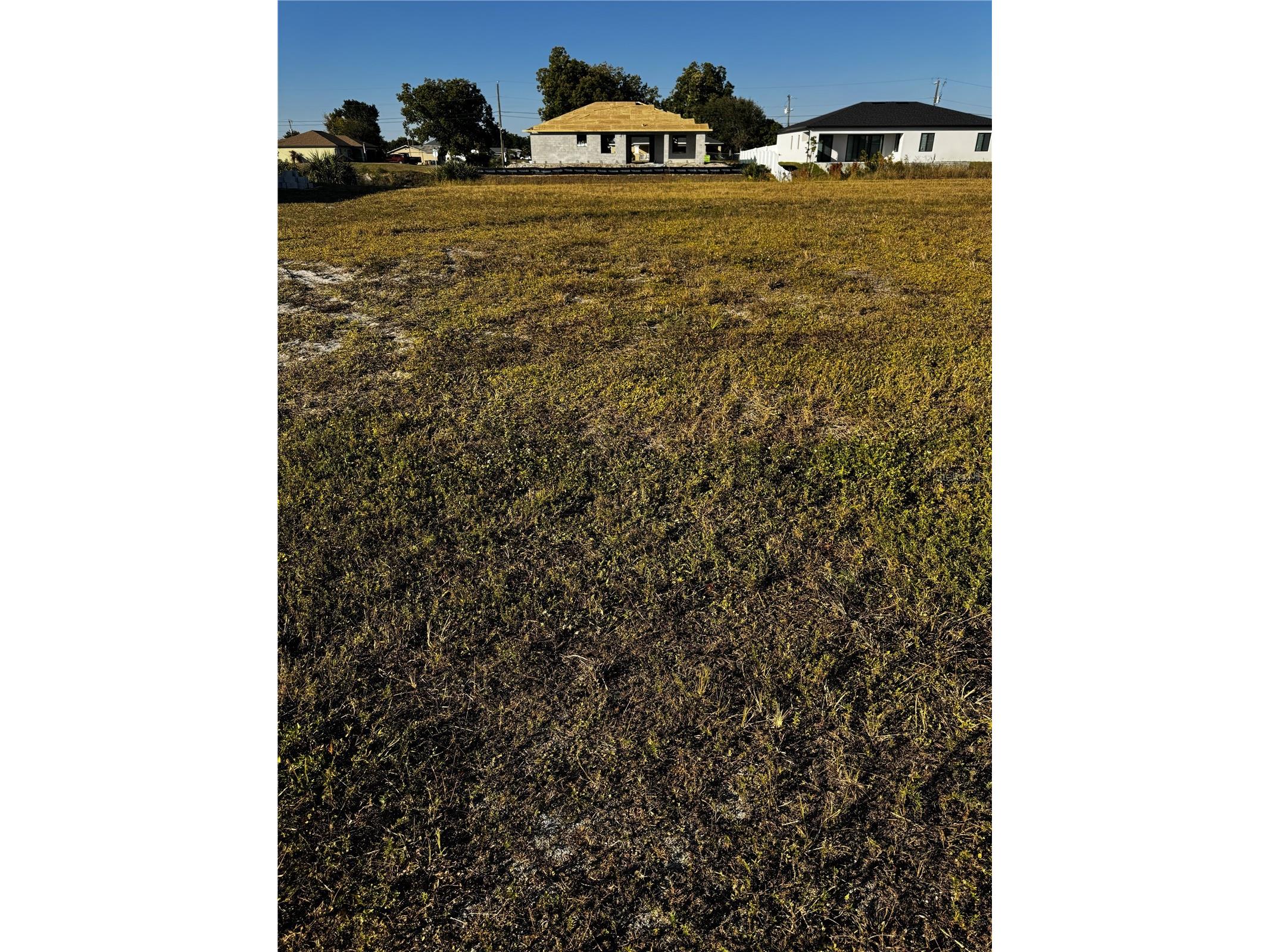 1715 NE 13th Terrace Cape Coral FL 33909 C7520380 image3
