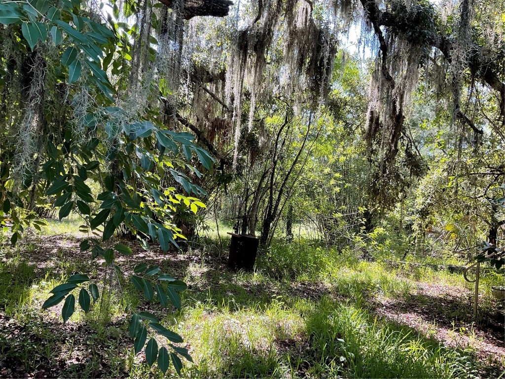 1715 NE 308th Street Okeechobee FL 34972 OK225477 image11