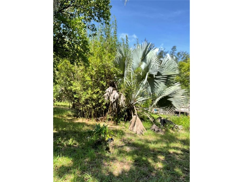 1715 NE 308th Street Okeechobee FL 34972 OK225477 image12