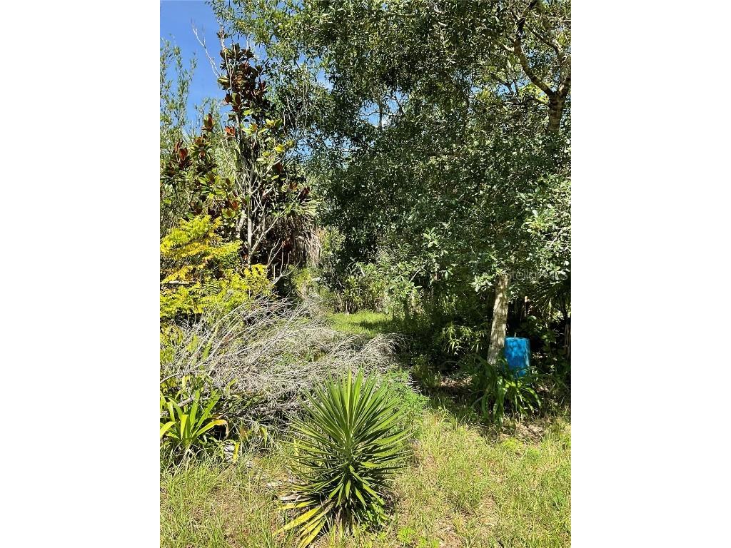 1715 NE 308th Street Okeechobee FL 34972 OK225477 image14