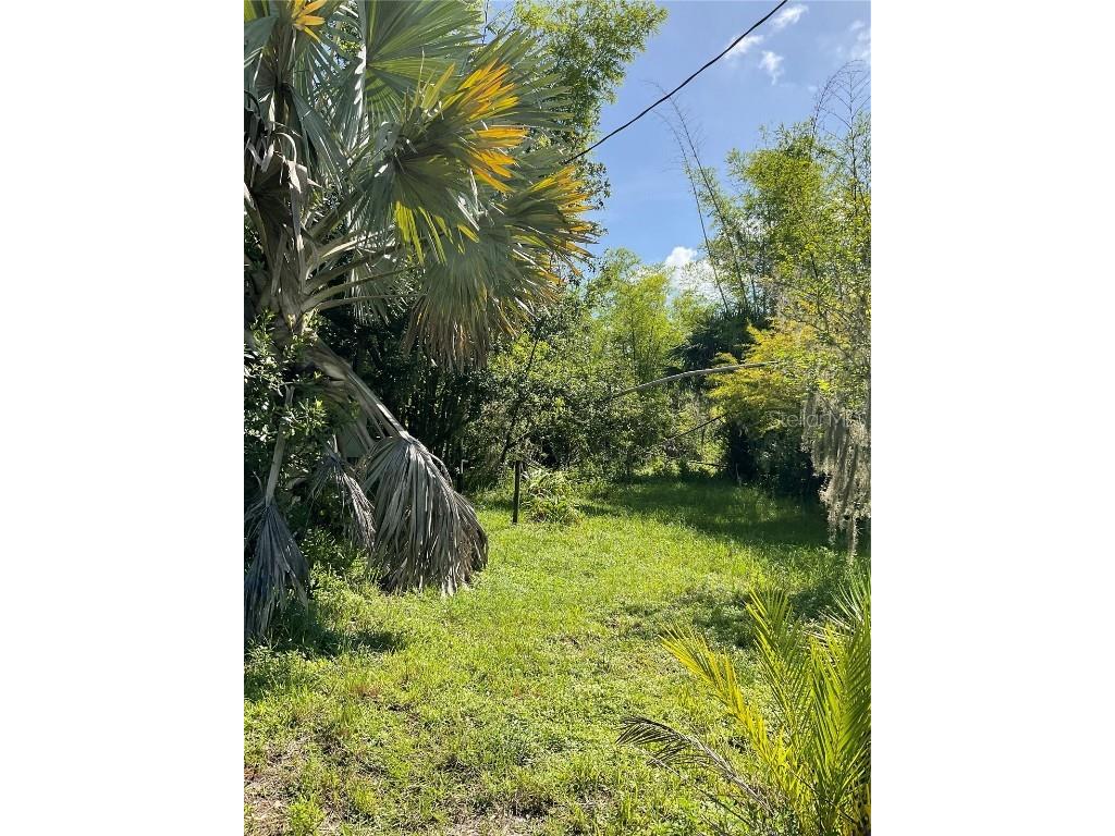 1715 NE 308th Street Okeechobee FL 34972 OK225477 image18