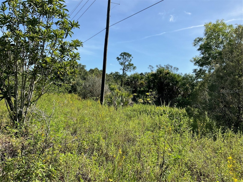 1715 NE 308th Street Okeechobee FL 34972 OK225477 image23