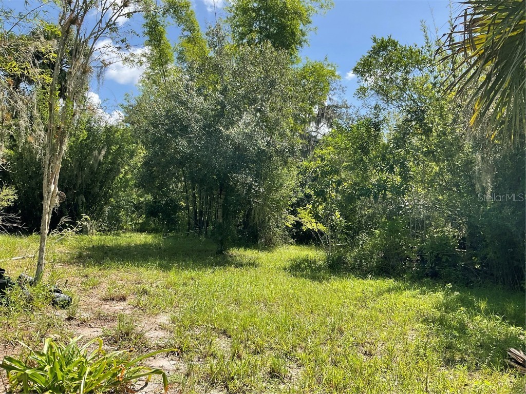 1715 NE 308th Street Okeechobee FL 34972 OK225477 image26