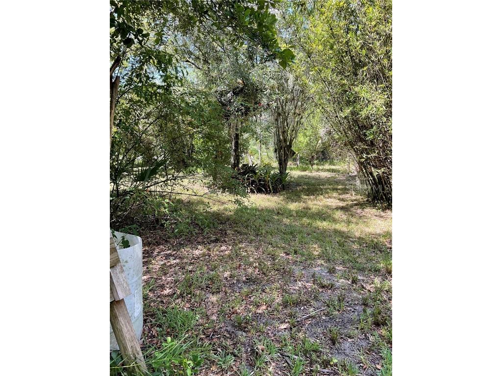 1715 NE 308th Street Okeechobee FL 34972 OK225477 image30