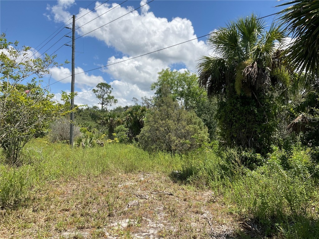 1715 NE 308th Street Okeechobee FL 34972 OK225477 image33