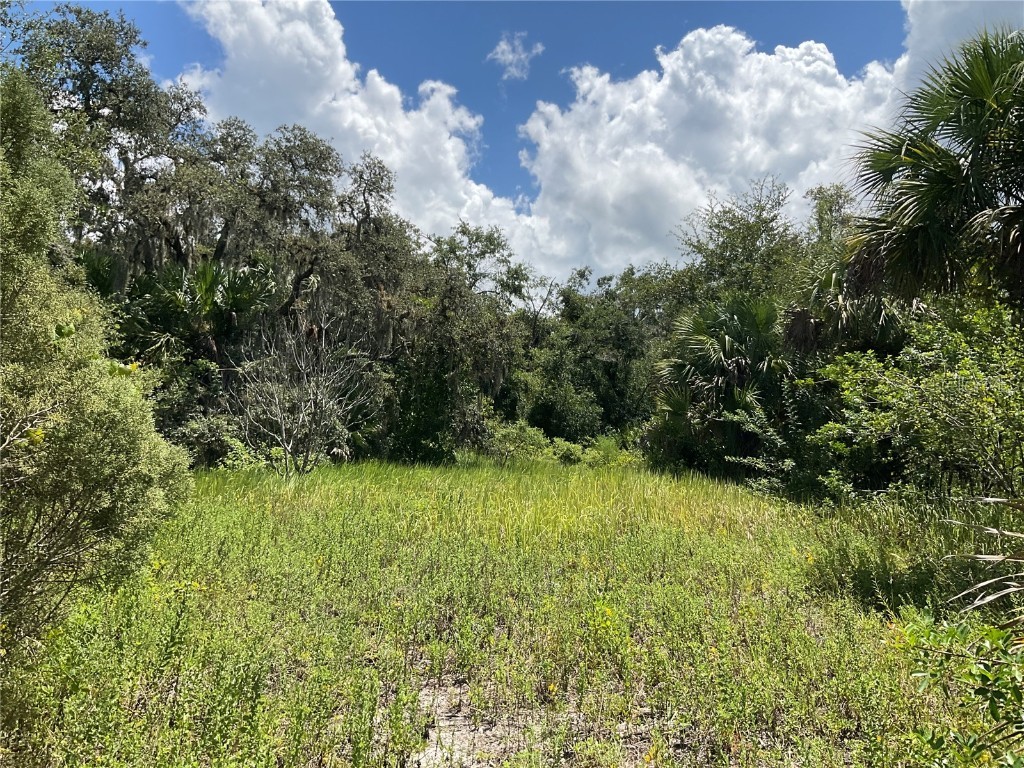 1715 NE 308th Street Okeechobee FL 34972 OK225477 image34