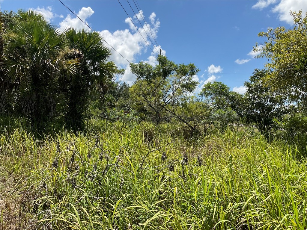 1715 NE 308th Street Okeechobee FL 34972 OK225477 image35