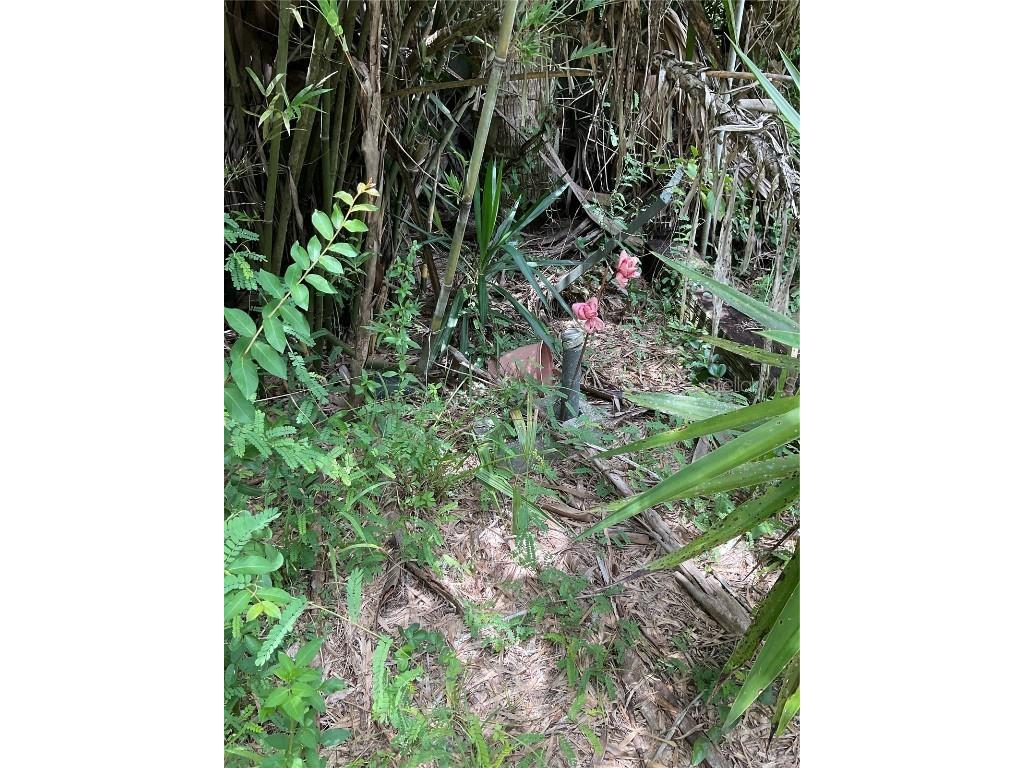 1715 NE 308th Street Okeechobee FL 34972 OK225477 image43