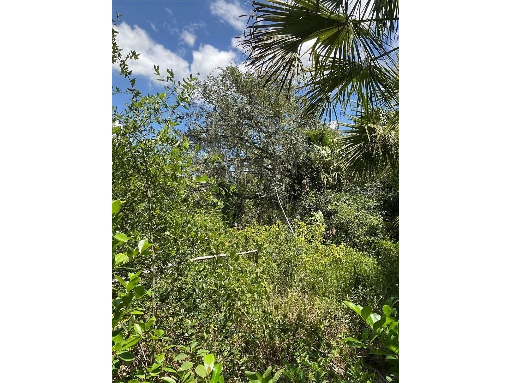 1715 NE 308th Street Okeechobee FL 34972 OK225477 image44