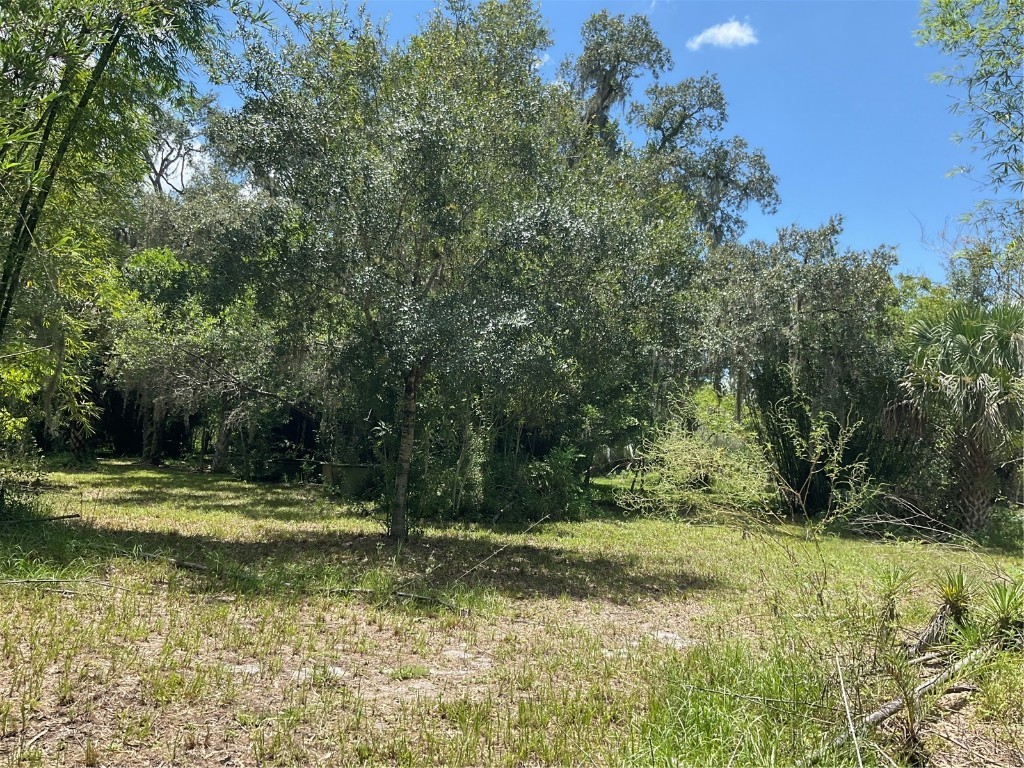 1715 NE 308th Street Okeechobee FL 34972 OK225477 image45