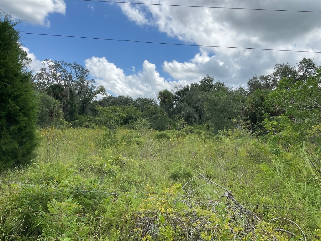 1715 NE 308th Street Okeechobee FL 34972 OK225477 image48