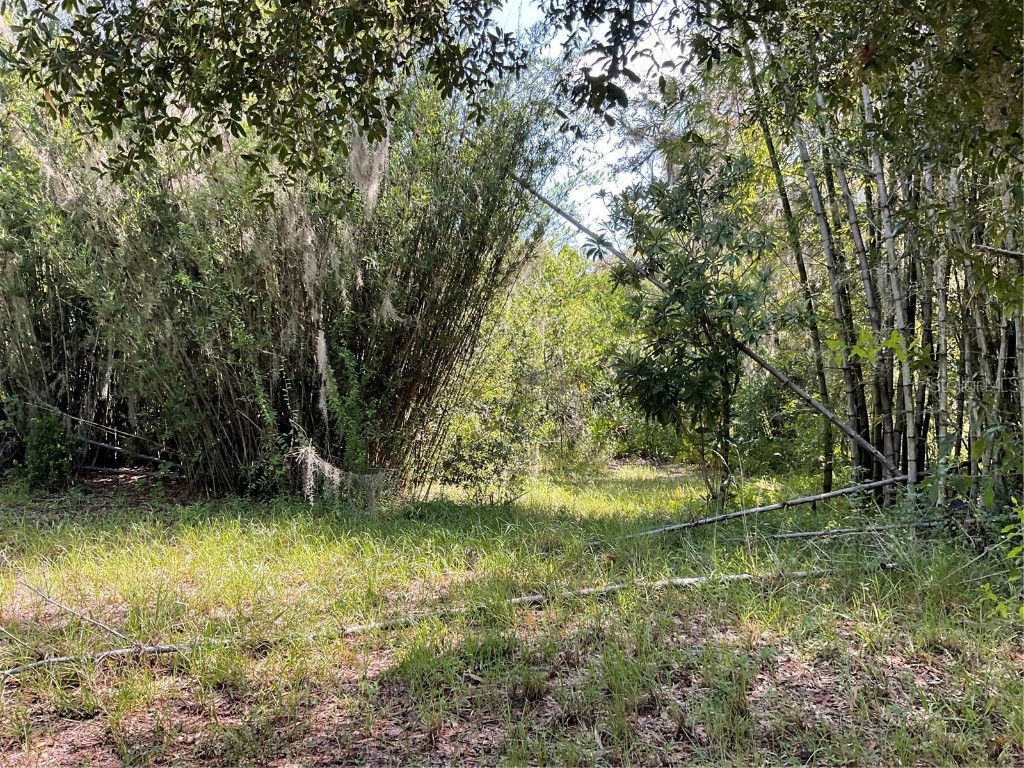 1715 NE 308th Street Okeechobee FL 34972 OK225477 image7