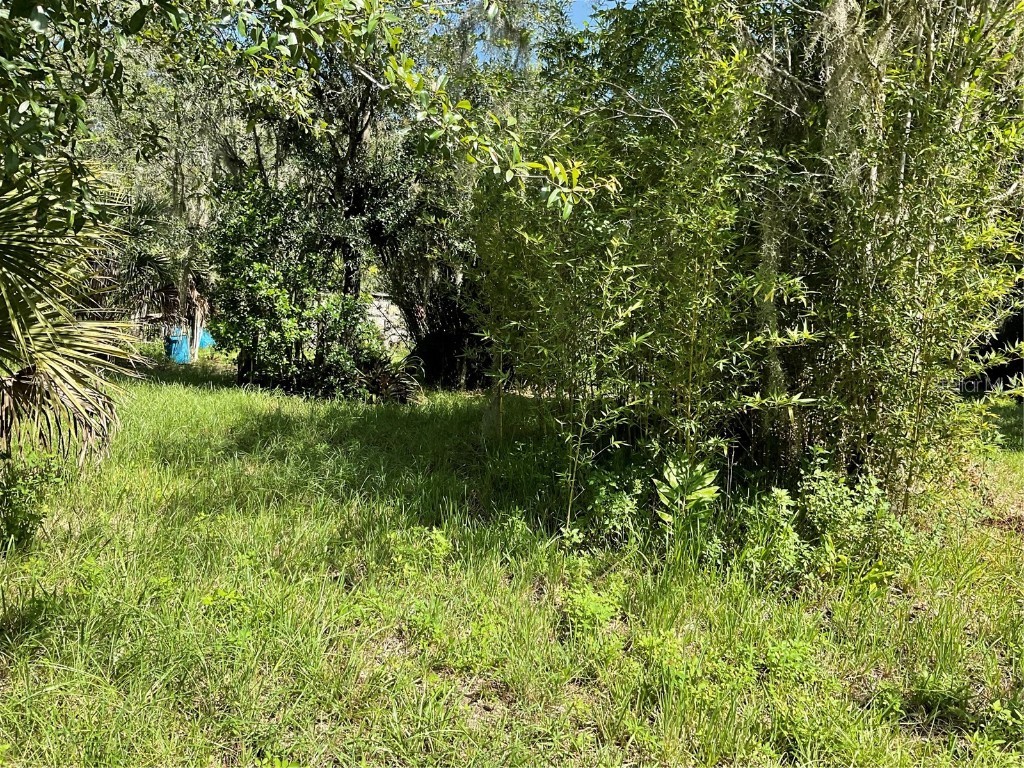 1715 NE 308th Street Okeechobee FL 34972 OK225477 image8